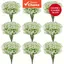 Kit de 30 Gypsophilas Artificiais Choice